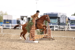 SBM_02895