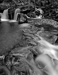 WATER portfolio