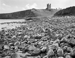 0615 - Dunstanburgh Black Rocks