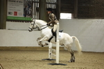 AJG_7295