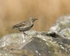 20110502-IMG_5320