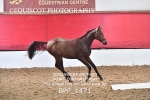 BPP_1471