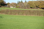 WJ6_3307