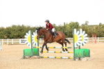 SBM_002266