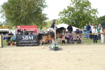SBM_39488