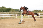 SBM_023927