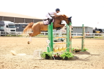 SBM_000558