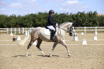 SBM_013922
