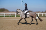 SBM_001076