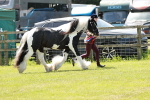 SBM_05548