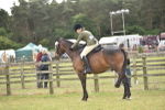 SBM_15971