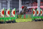 SBM_006441