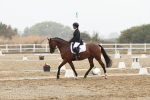SBM_003875
