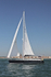 170526 SLOW GIN GBR2075L 1Y3A9541_Edit