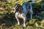 Dunnerdale-1067