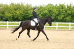 SBM_006934