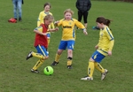 DSC00219
