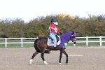 SBM_000491