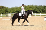SBM_009035