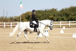 SBM_017436