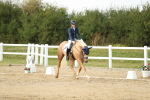 SBM_018508