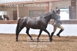 BPP_0525