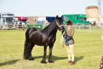 SBM_00917