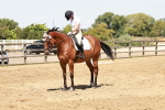 SBM_002983