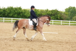 SBM_006412