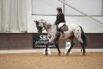 SBM_002051