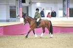 SBM_08945