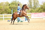 SBM_004224