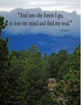 Forest Motivational Poster