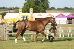 SBM_10434