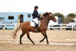 SBM_002727