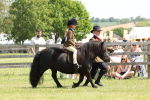 SBM_05192