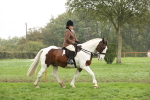 SBM_69798
