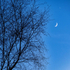 3rd January Moon & Venus
