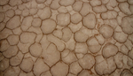 Salt Pan
