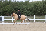SBM_002907
