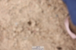 250719-100742-13805