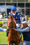 310526-Race 1-Alfred Wallace-8027