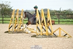 50-55cm Arena Eventing portfolio