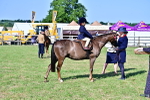 SBM_19805