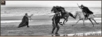 equiscot_8774