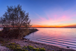 Sunset Tree & Lake