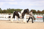 SBM_09284