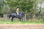 WJ6_8155