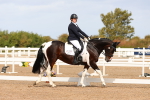 SBM_02027