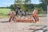 BPP_3787